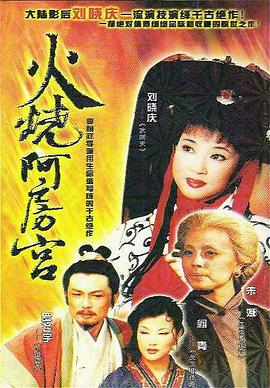 火烧阿房宮1996 第28集