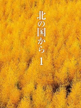 北国之恋 第10集