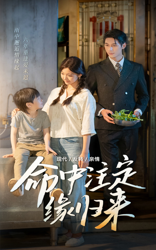 命中注定缘归来 第35集