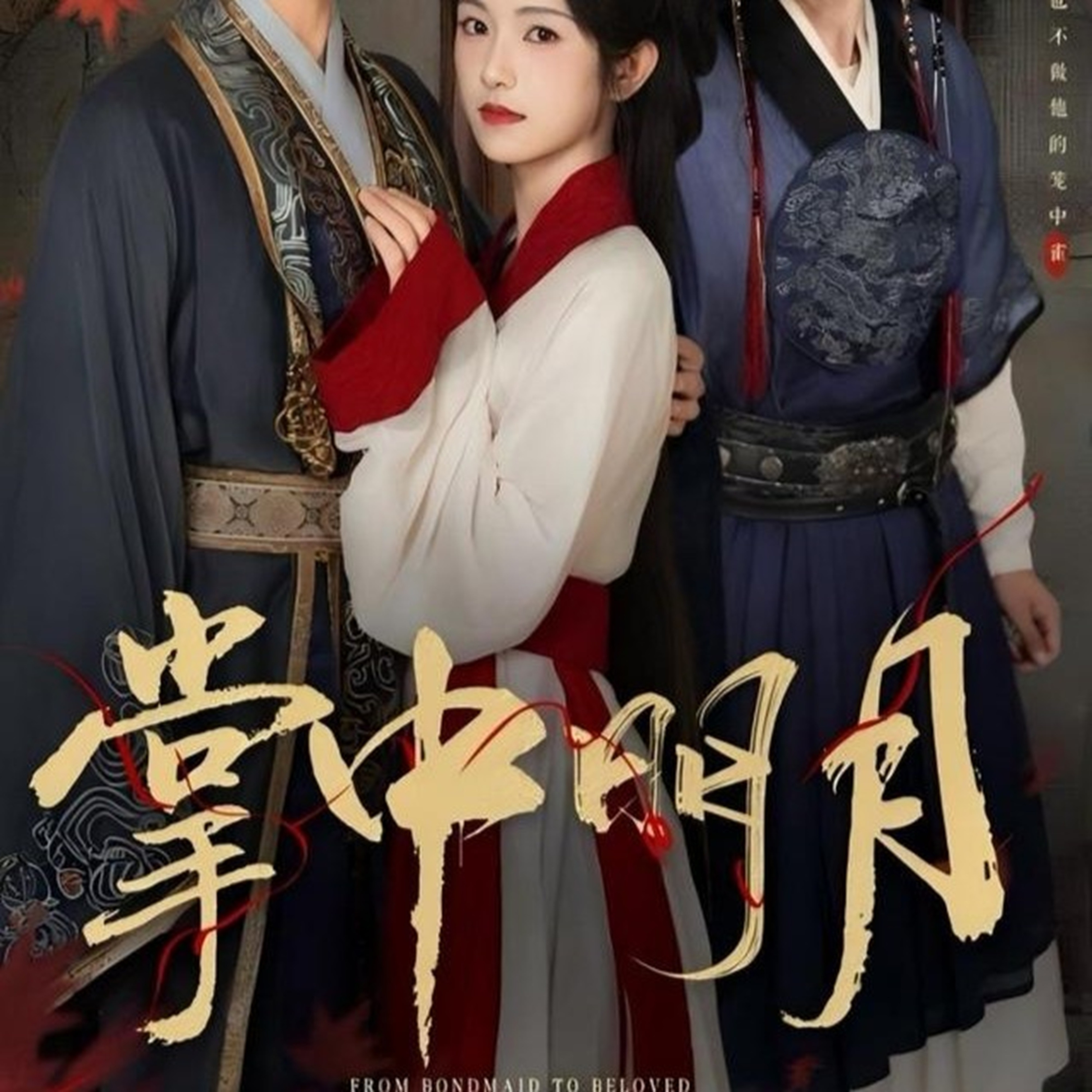 掌中明月 第30集