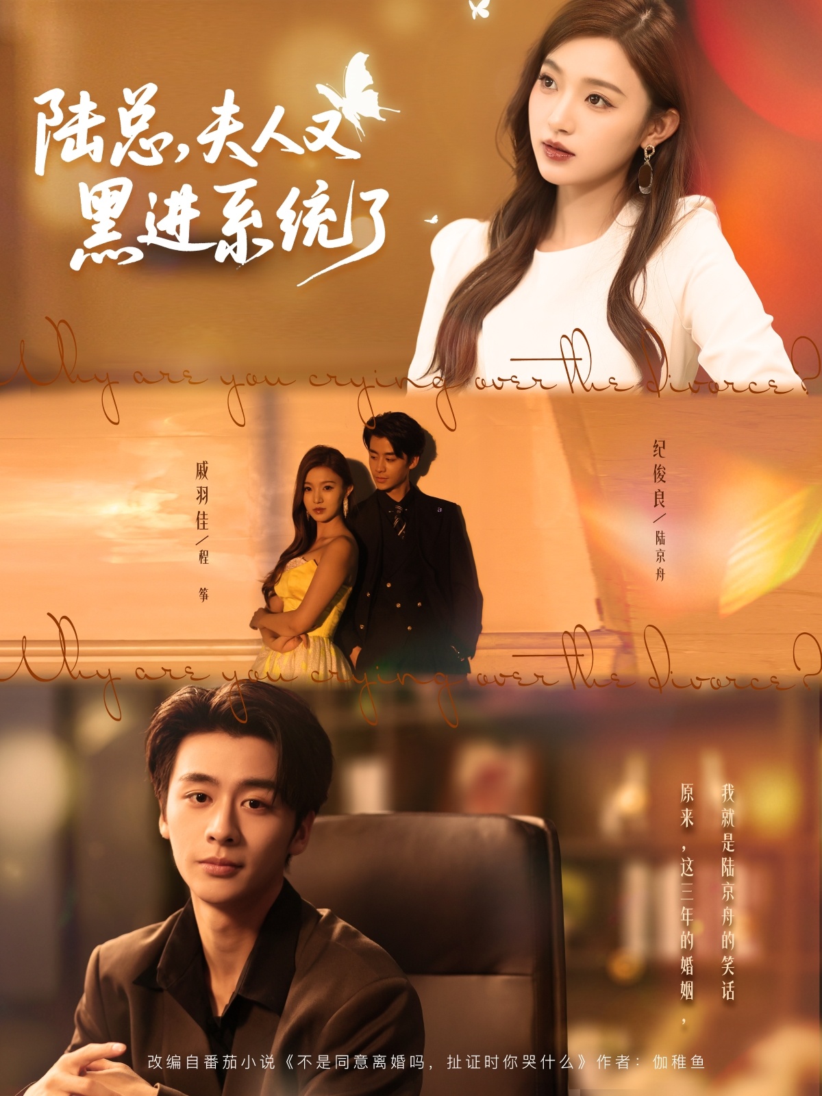 陆总夫人又黑进系统了 第01集