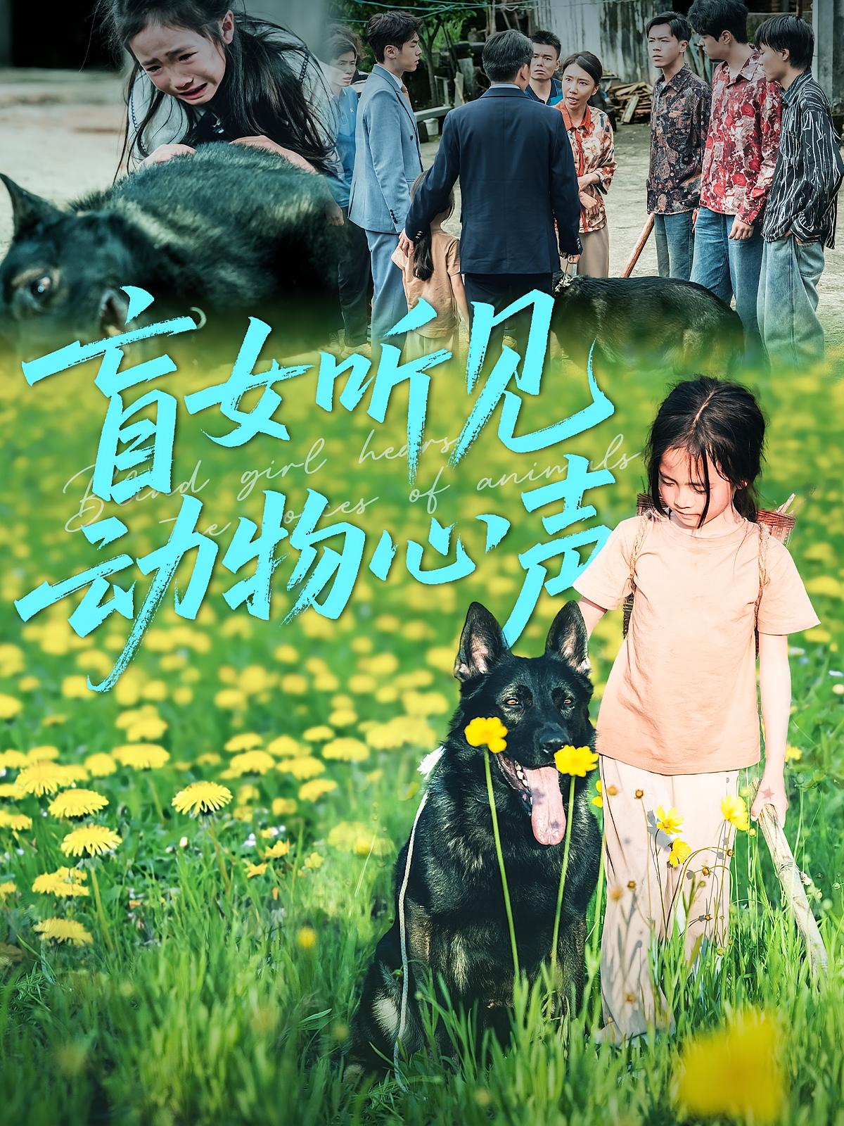 盲女听见动物心声 第07集