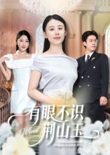 有眼不识荆山玉 第01集