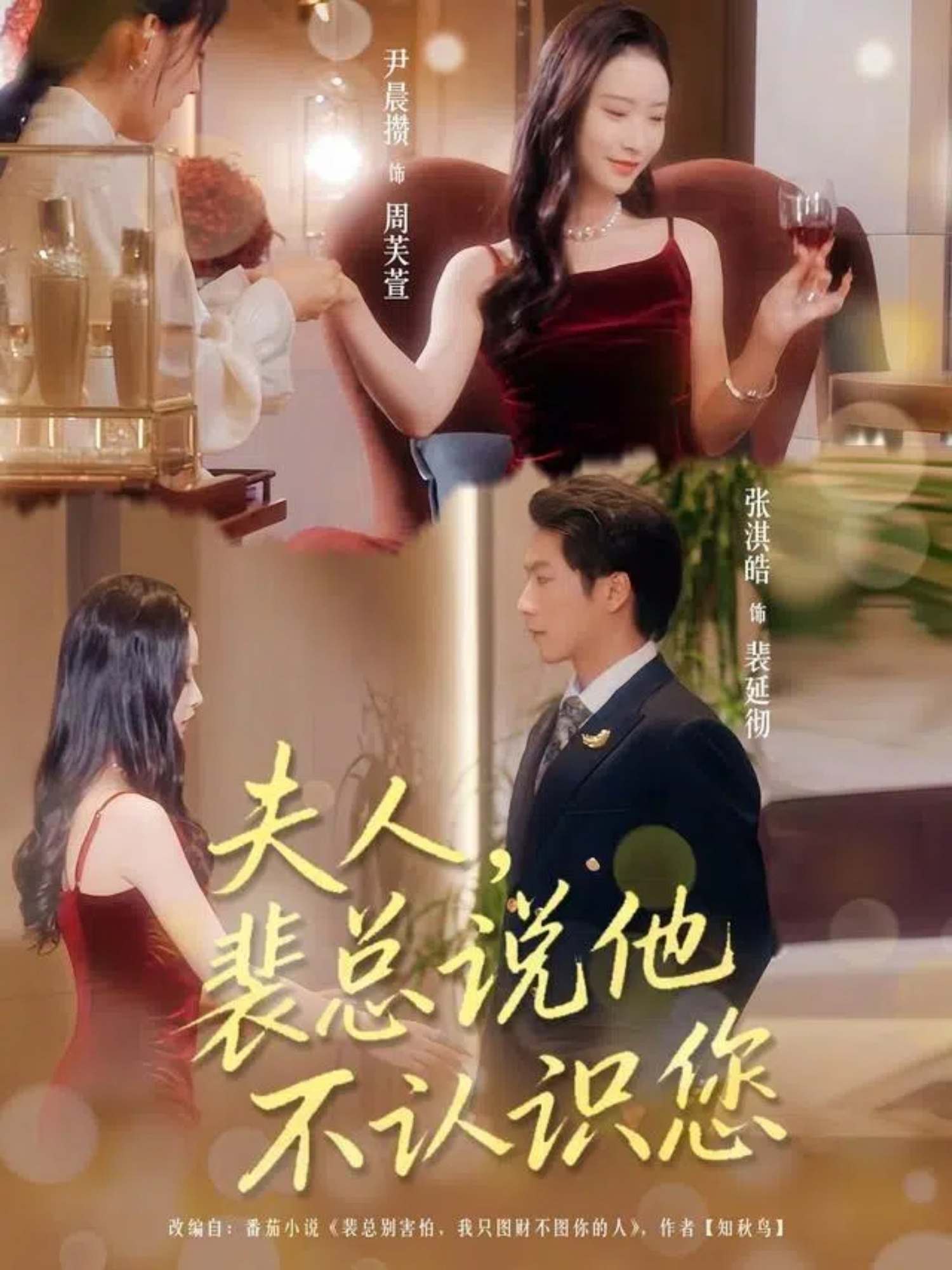 夫人裴总说他不认识您 第33集