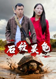 石纹灵龟 第01集