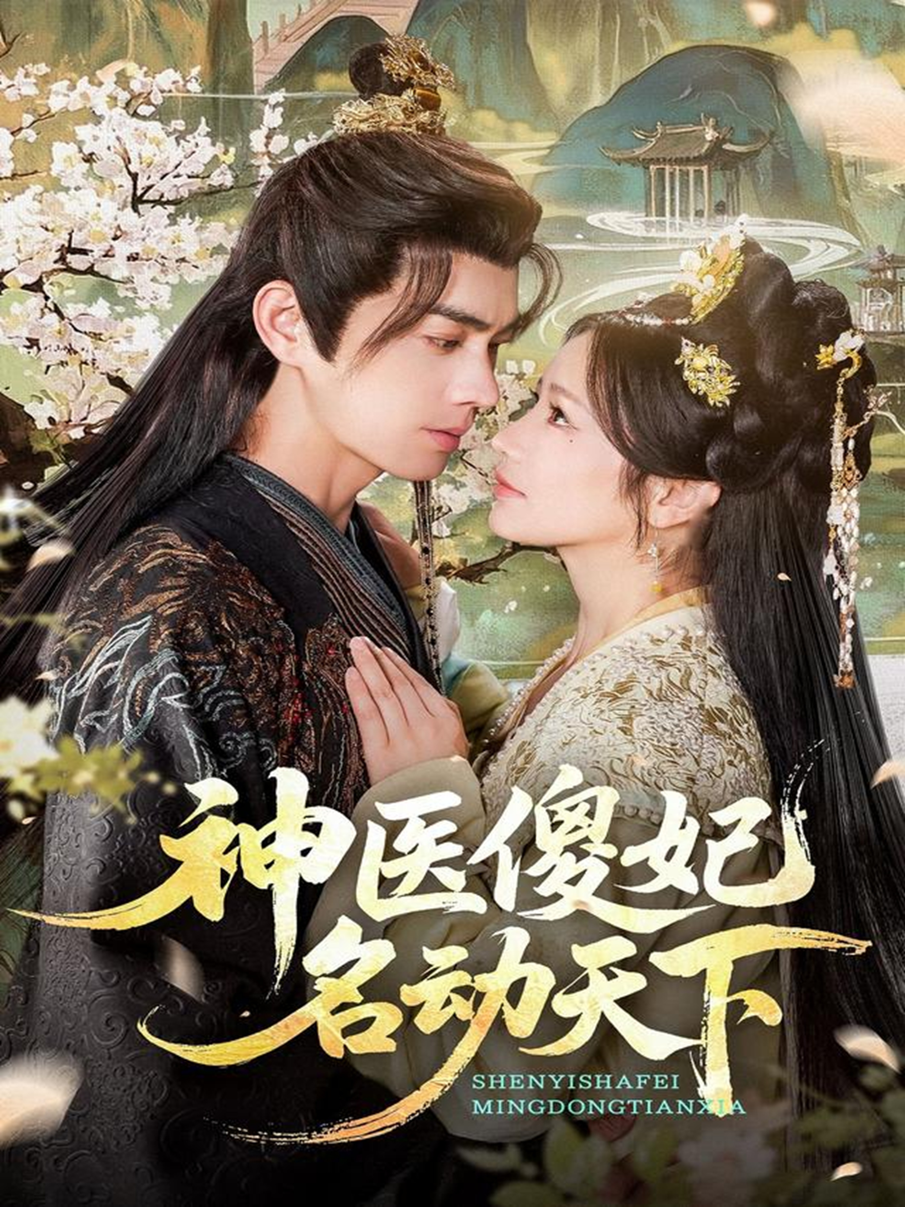神医傻妃名动天下 第01集