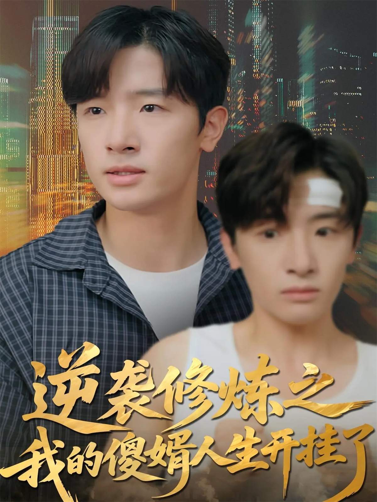 逆袭修炼之我的傻婿人生开挂了 第07集
