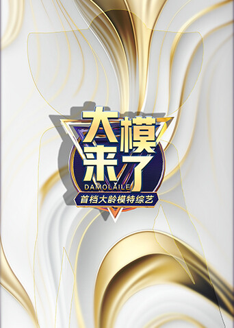 大模来了 20251128