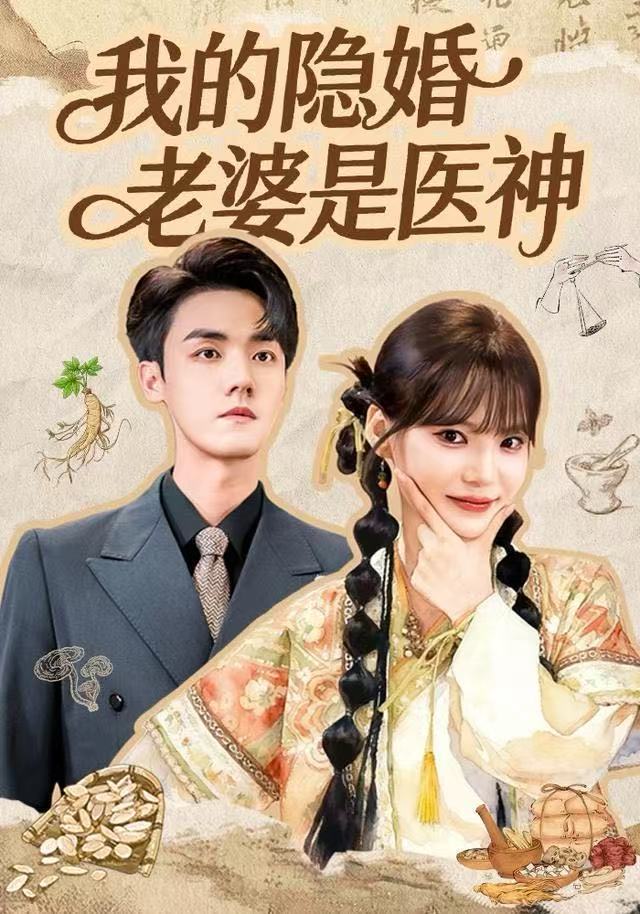 我的隐婚老婆是医神 第01集