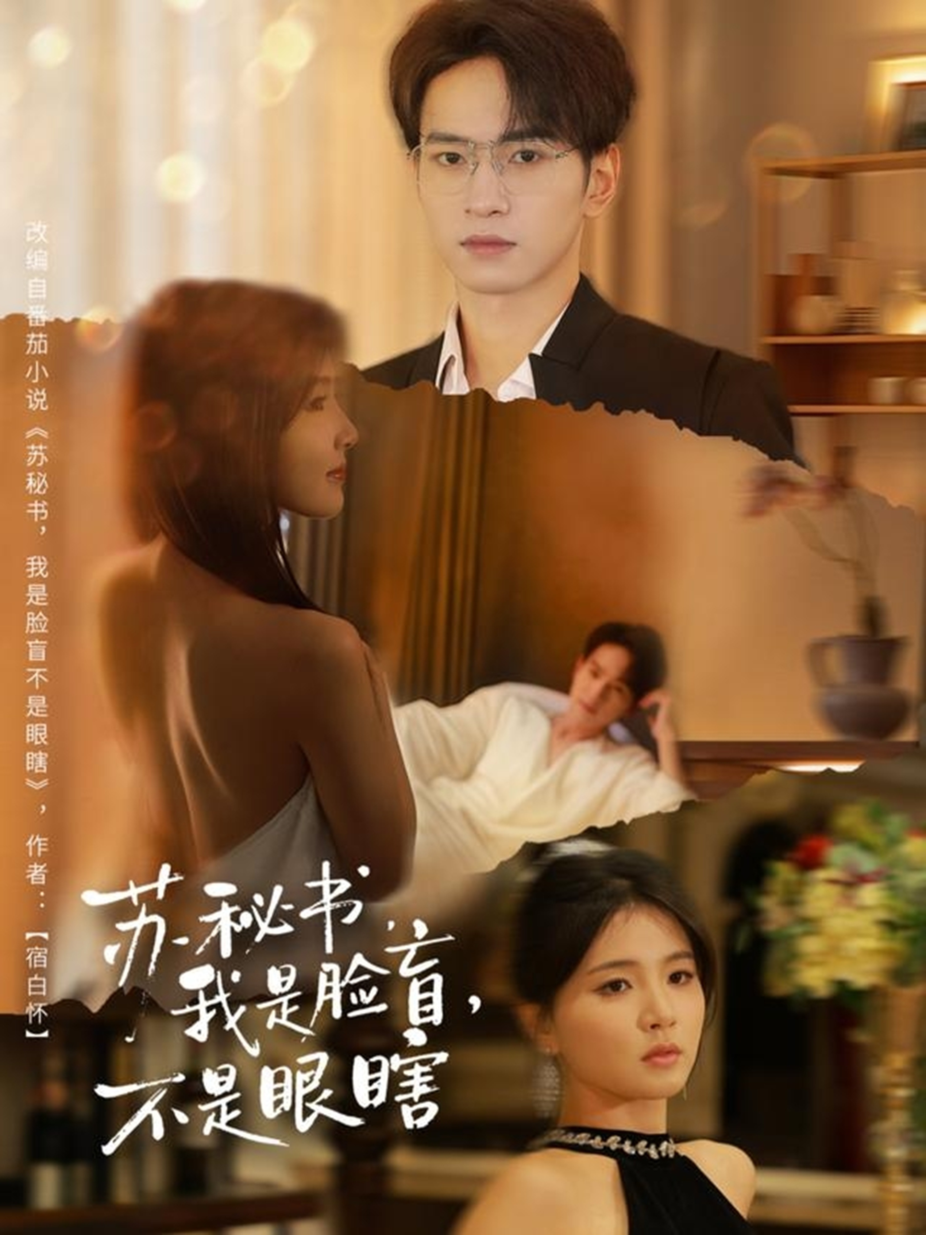苏秘书我是脸盲不是眼瞎 第45集