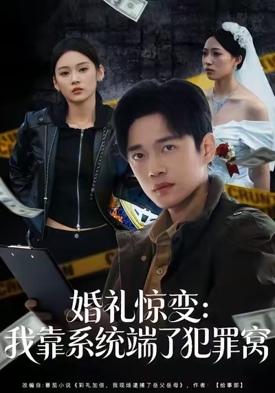婚礼惊变：我靠系统端了犯罪窝 第01集