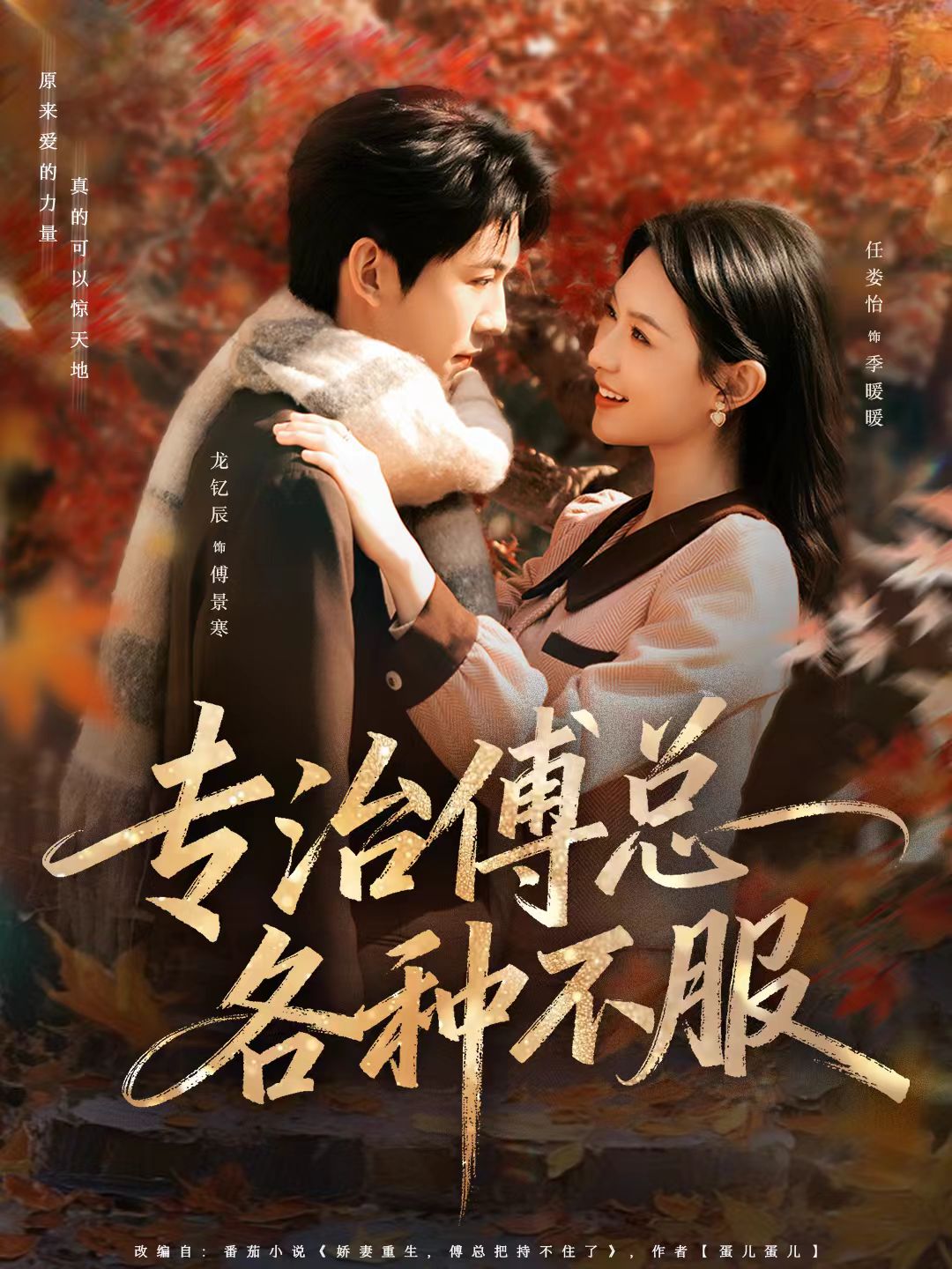 专治傅总各种不服 第01集