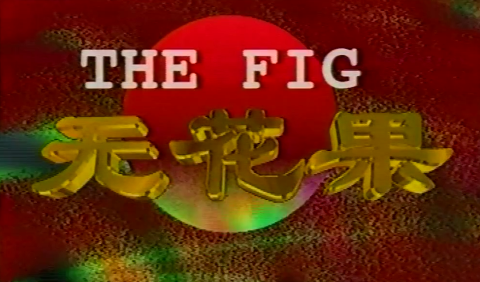 无花果1996 第08集