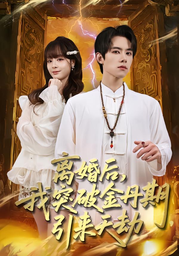 离婚后，我突破金丹期，引来天劫 第01集