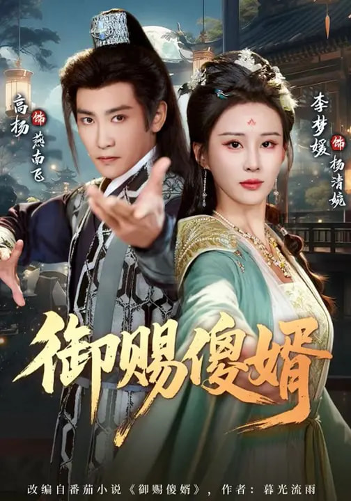 御赐傻婿 第81集
