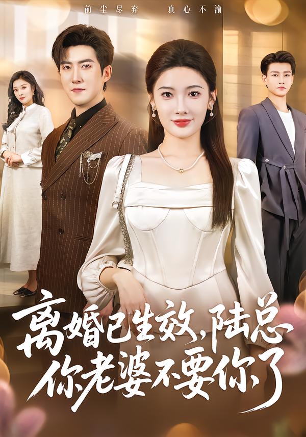 离婚已生效，陆总你老婆不要你了 第33集