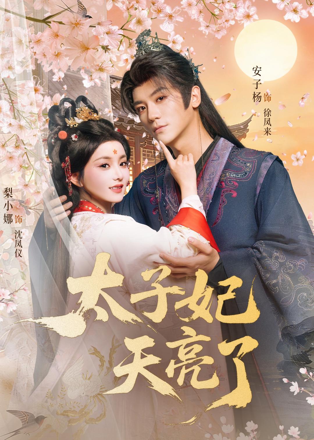 太子妃天亮了 第04集