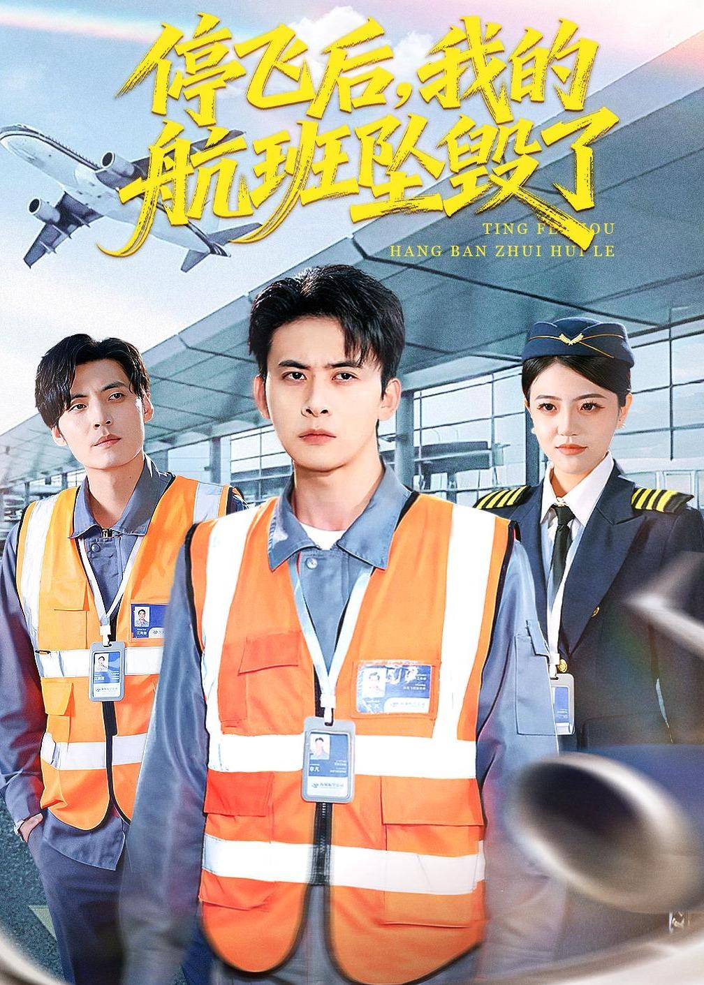 停飞后，我的航班坠毁了 第01集