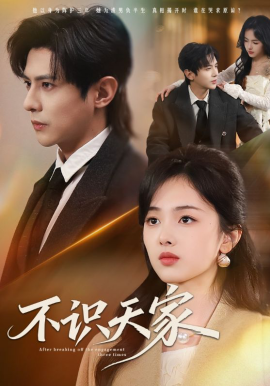 不识天家 第02集