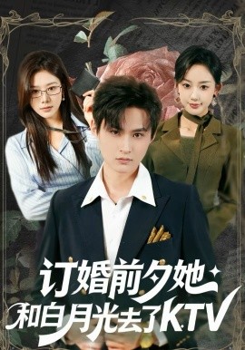 订婚前夕她和白月光去了KTV 第52集