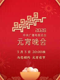 2026年中央广播电视总台元宵晚会(大结局)