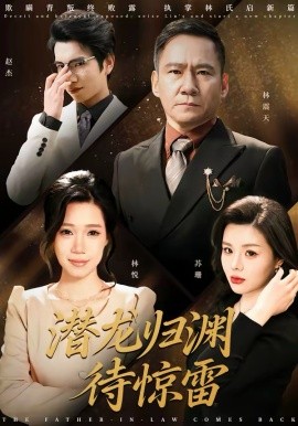 潜龙归渊待惊雷 第27集