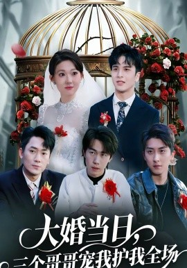 大婚当日，三个哥哥宠我护我全场 第06集