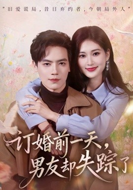 订婚前一天，男友却失踪了 第28集