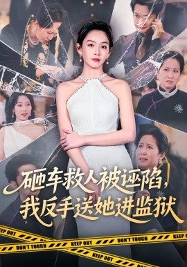 砸车救人被诬陷，我反手送她进监狱 第01集