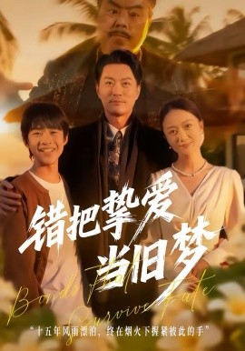 错把挚爱当旧梦 第47集