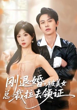 刚退婚，被美女总裁拉去领证 第01集