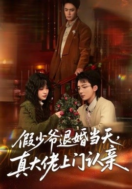 假少爷退婚当天，真大佬上门认亲 第01集