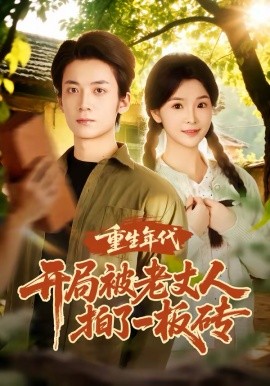 重生年代开局被老丈人拍了一板砖 第01集