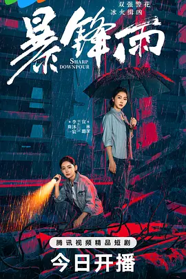 暴锋雨 第13集