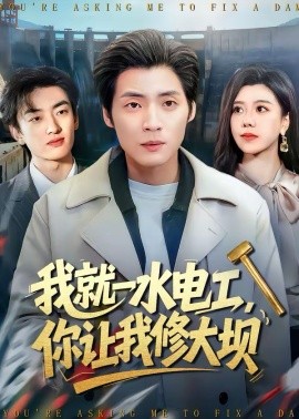 我就一水电工，你让我修大坝 第01集