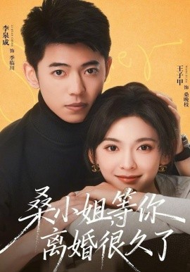 桑小姐，等你离婚很久了 第01集