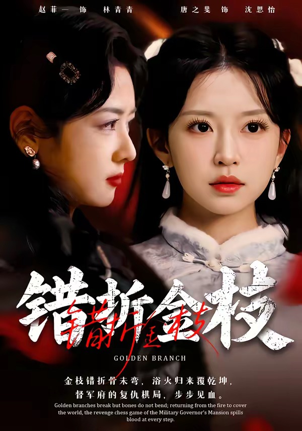 错折金枝 第23集