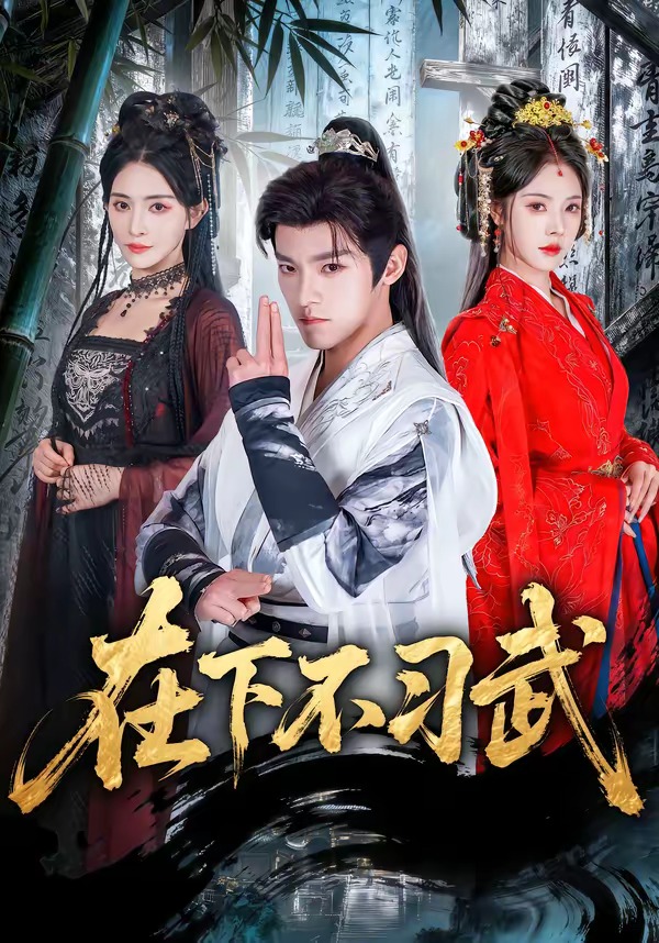 在下不习武 HD