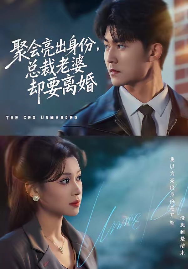 聚会亮出身份，总裁老婆却要离婚 HD(大结局)
