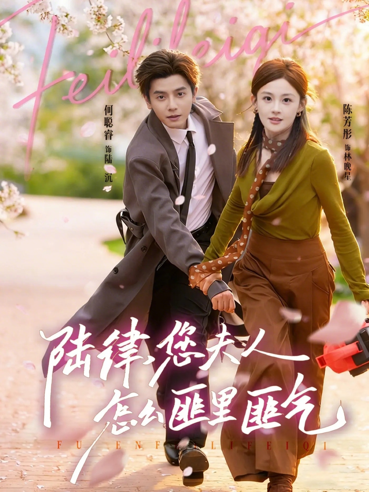 陆律，您夫人怎么匪里匪气 HD(大结局)
