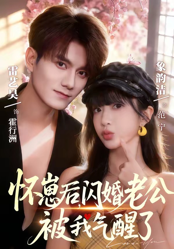 怀崽后，闪婚老公被我气醒了 HD(大结局)