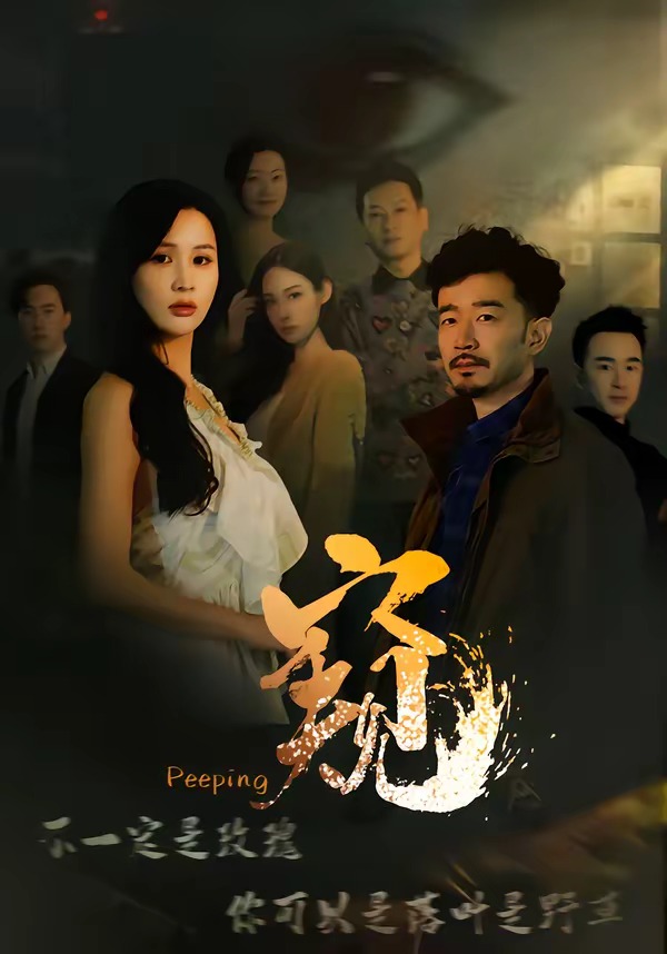 窥2026 HD(大结局)