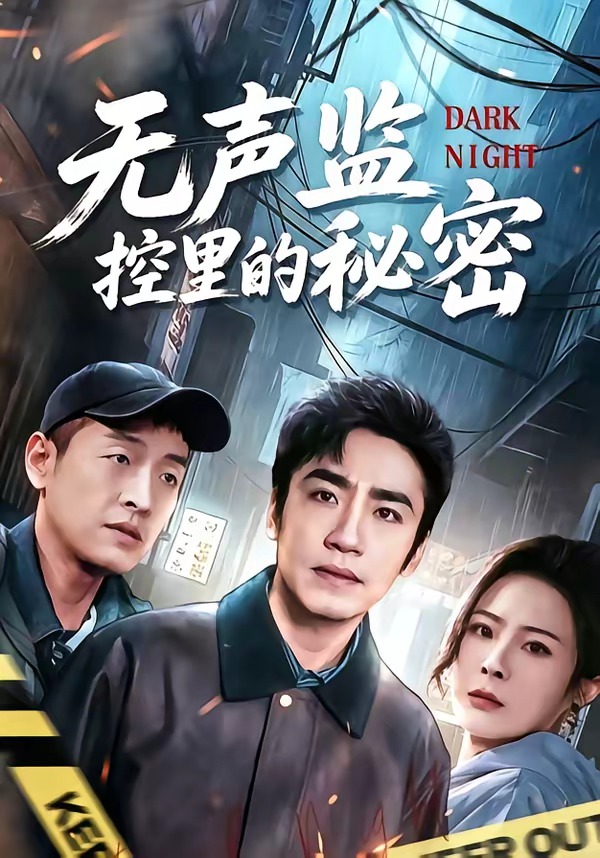 无声监控里的秘密 HD(大结局)