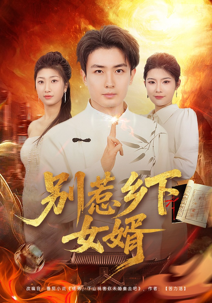 别惹乡下女婿 第01集(大结局)