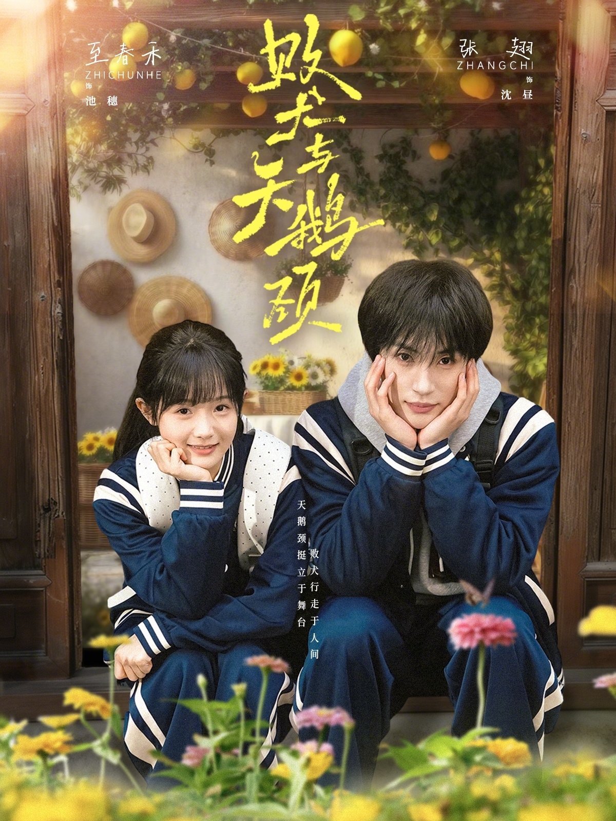 败犬与天鹅颈 第01集(大结局)