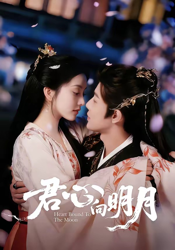 君心向明月(全集)