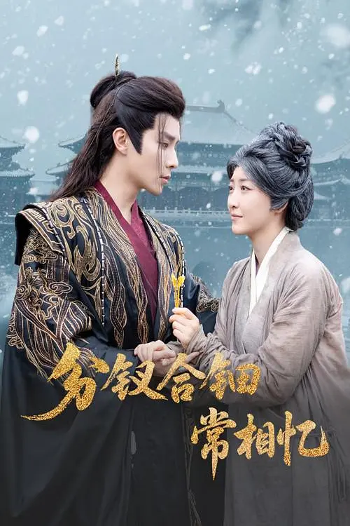 分钗合钿常相忆(全集)