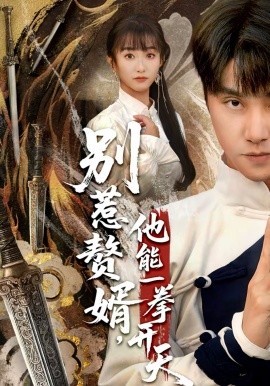 别惹赘婿，他能一拳开天(全集)