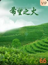 希望之火(全集)