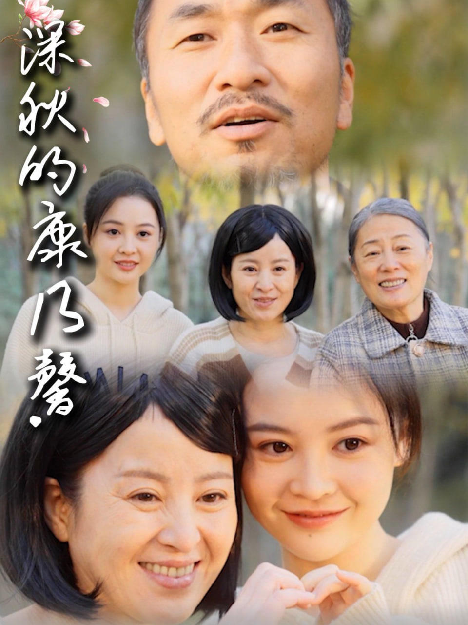 深秋的康乃馨(全集)